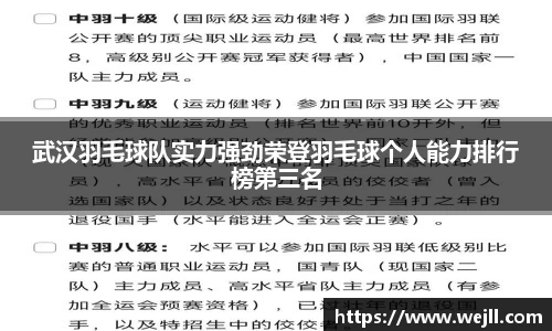 武汉羽毛球队实力强劲荣登羽毛球个人能力排行榜第三名